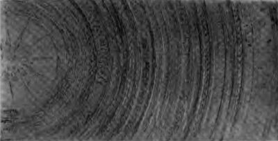 A 'Rubbing' Showing the Pattern of the Head of the Nabaain Drum
