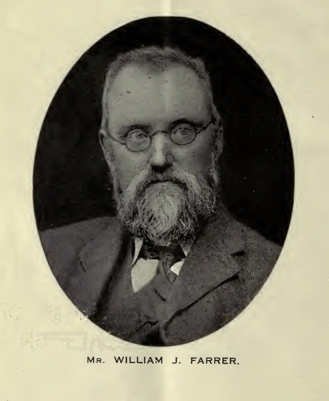 MR. WILLIAM J. FARRER. - front