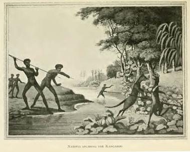 Natives spearing the kangaroo