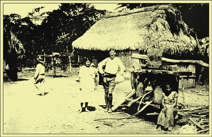 The Sugar-cane Press, a Trapiche