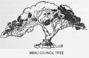 Mbau council tree